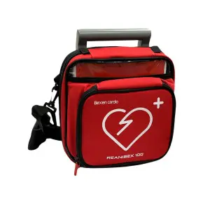 [DJS8500A] Sacoche de transport pour Reanibex 100 avec poche avant et bandouillière